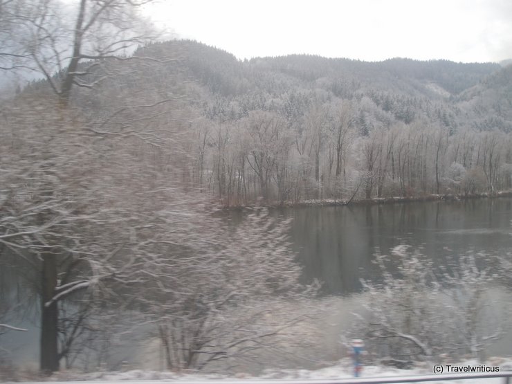Styrian forest on winter time