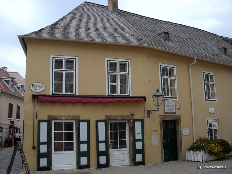 Haus der Neunten in Baden bei Wien, Austria