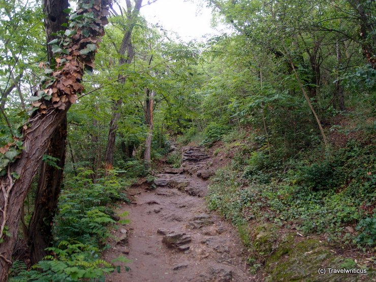 Donkey path in Dürnstein, Austria