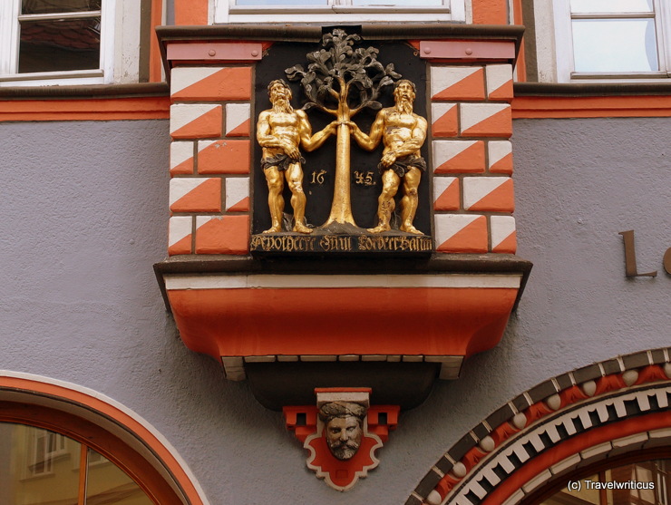 Relief of a laurel tree in Naumburg (Saale), Germany