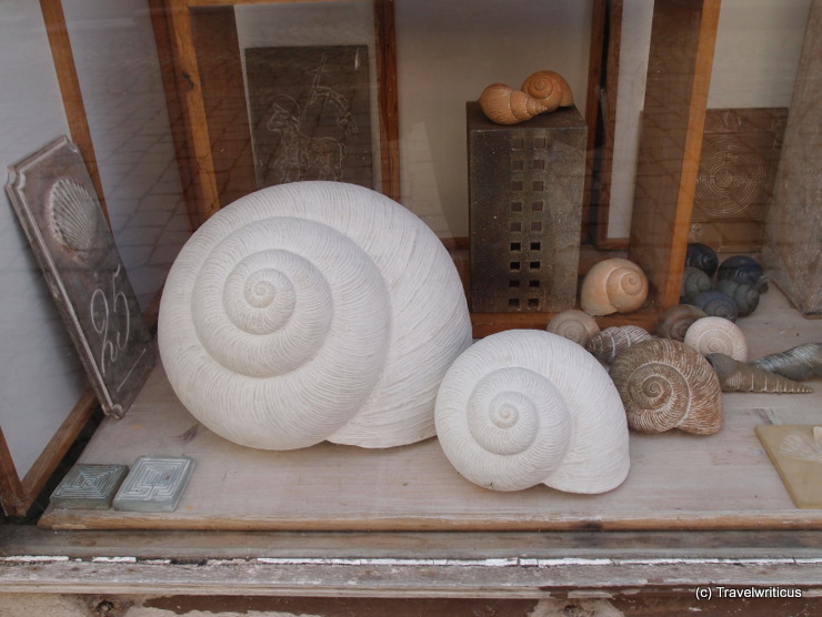 Snail shells in a shop in Naumburg (Saale), Germany