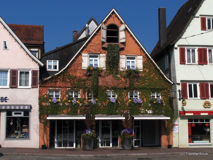 Floral decoration in Schorndorf, Germany