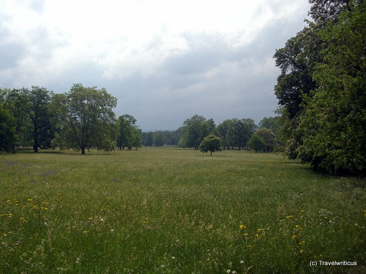 Fodder meadow in Stuttgart, Germany