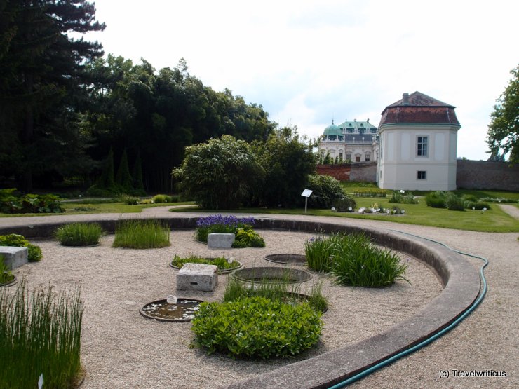 Botanical garden of the university of Vienna