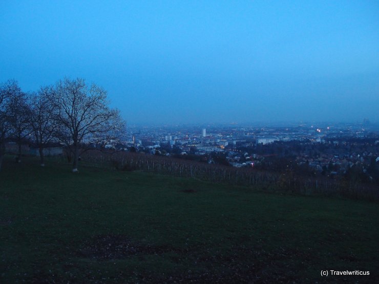 View from the Christmas market at Wilhelminenberg, Vienna